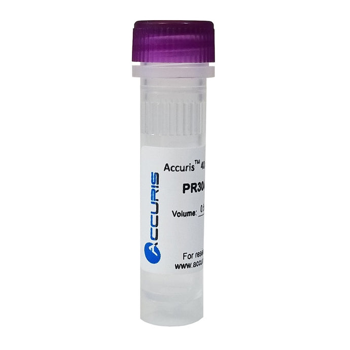Light Gray Accuris 40mM dNTP Mix (10mM each)