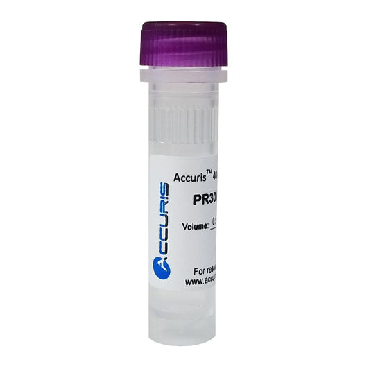 Light Gray Accuris 40mM dNTP Mix (10mM each)