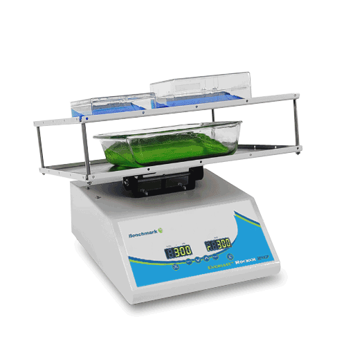 Load image into Gallery viewer, Light Gray Benchmark BR5000 Everlast 247 Rocker
