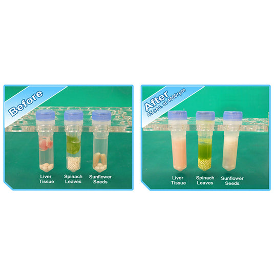 Medium Sea Green Benchmark D2400 BeadBlaster Microtube Homogenizer