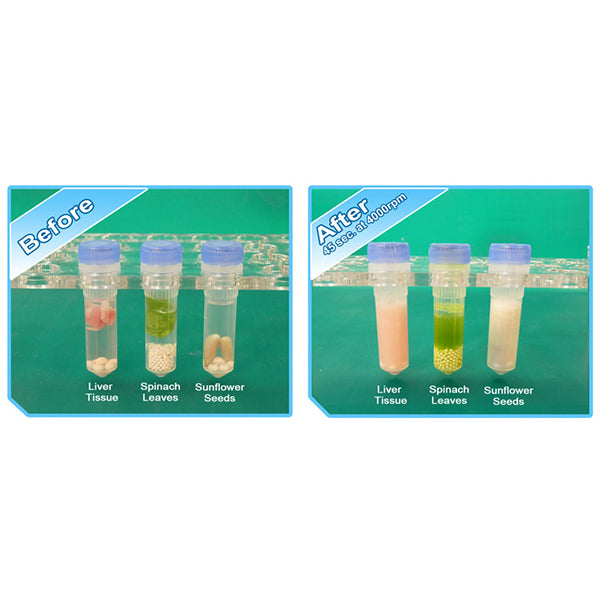 Load image into Gallery viewer, Medium Sea Green Benchmark D1036 BeadBug 6-Position Homogenizer

