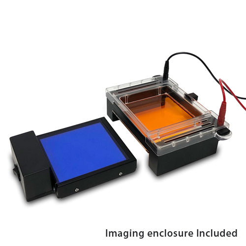 Tan Accuris myGel InstaView Electrophoresis Systems