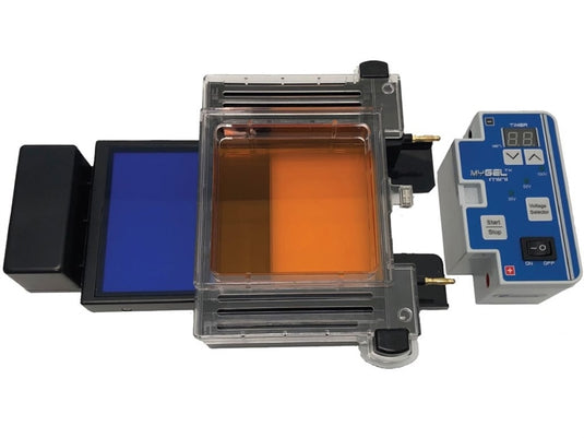 Dark Slate Gray Accuris myGel InstaView Electrophoresis Systems