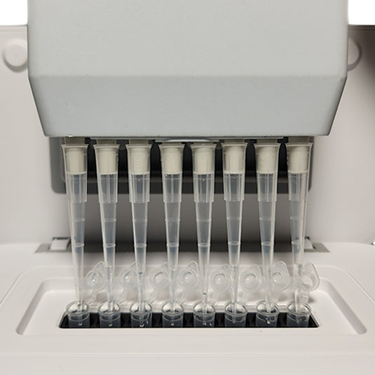 Gray Accuris Smart-Q Quantitative Fluorometer Series