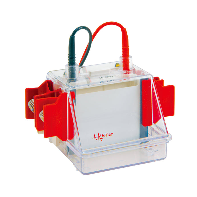 Light Gray Hoefer SE250 Mighty Small II Mini Vertical Protein Electrophoresis Unit