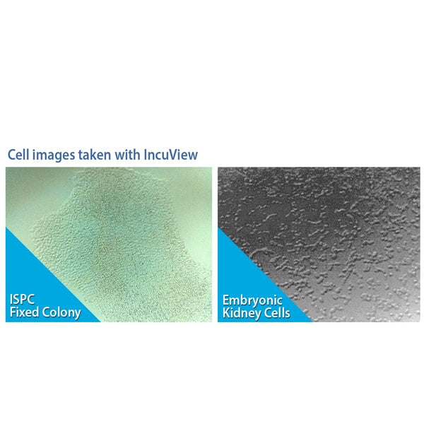 Load image into Gallery viewer, Dark Gray Benchmark SureTherm CO₂ Incubators with IncuView LCI
