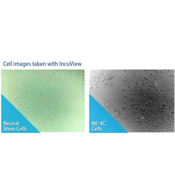 Load image into Gallery viewer, Dark Sea Green Benchmark SureTherm CO₂ Incubators with IncuView LCI
