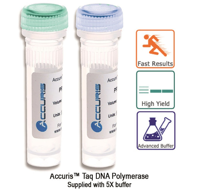Light Gray Accuris Taq Polymerase