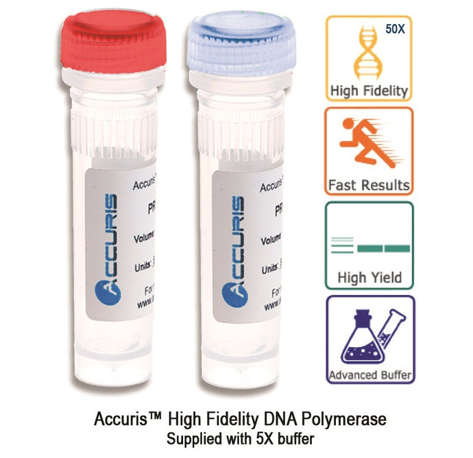 Antique White Accuris High Fidelity DNA Polymerase