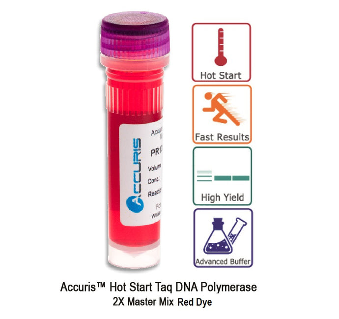Light Gray Accuris Hot Start Taq Master Mix Red Dye, 2X concentration