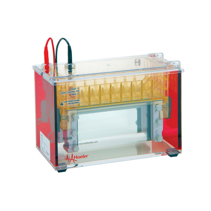 Gray Hoefer SE640 Wide-Mini Vertical Protein Electrophoresis Unit