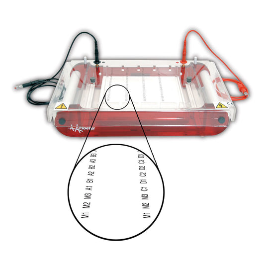 Light Gray Hoefer SUBHT High Throughput Submarine Gel Electrophoresis Unit