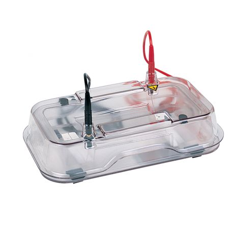 Gray Hoefer HE33 Mini Horizontal Agarose Electrophoresis Unit