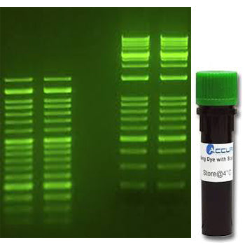 Dark Green SmartGlow™ Safe Green Pre Stain, 1.0ml